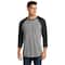 Next Level Unisex Tri-Blend 3/4-Sleeve Raglan T-Shirt